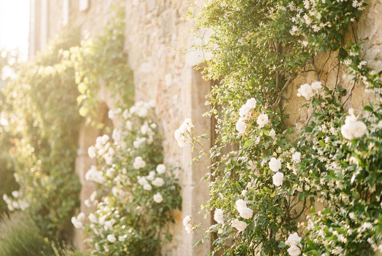 Modern Vow wedding website theme with Mediterranean stone and soft florals